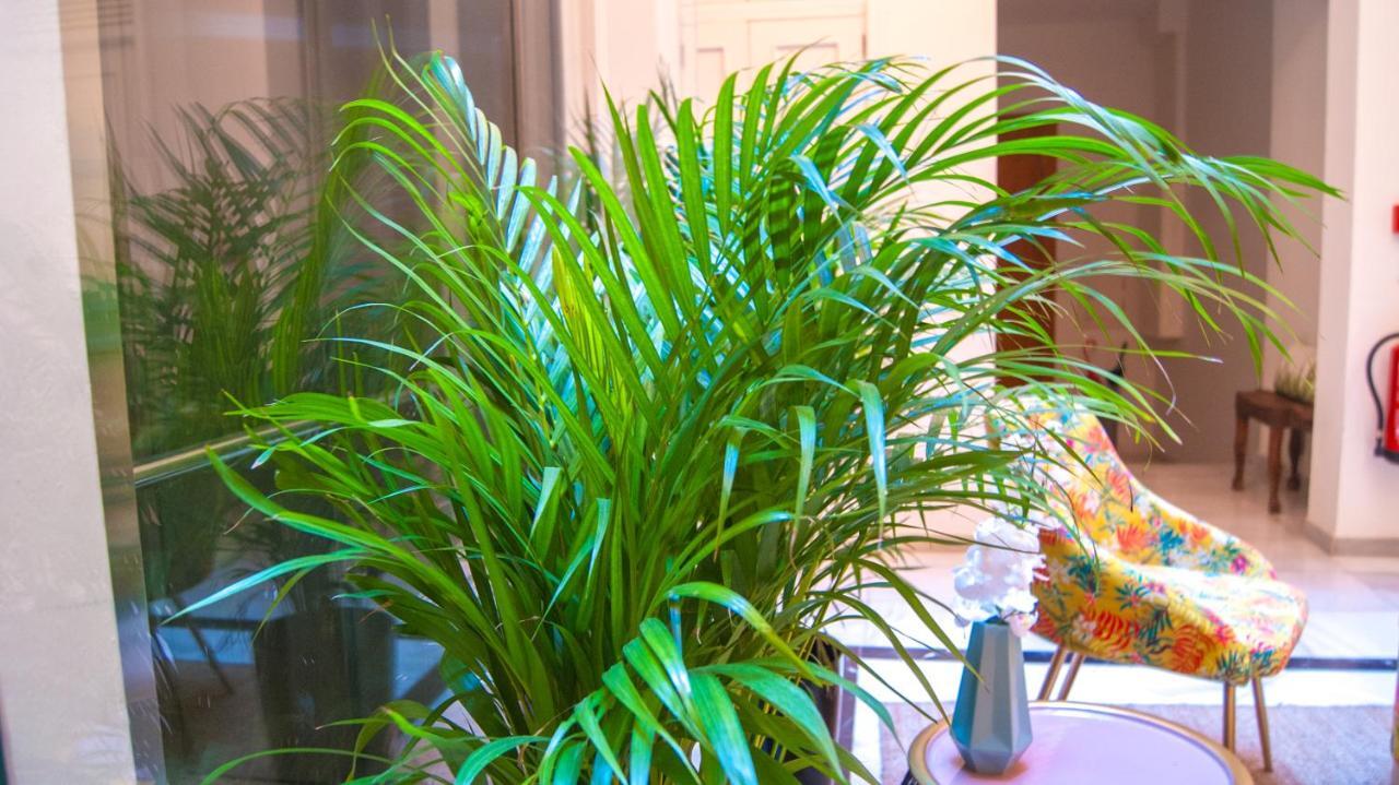 Sweet Sevilla Suites Екстер'єр фото