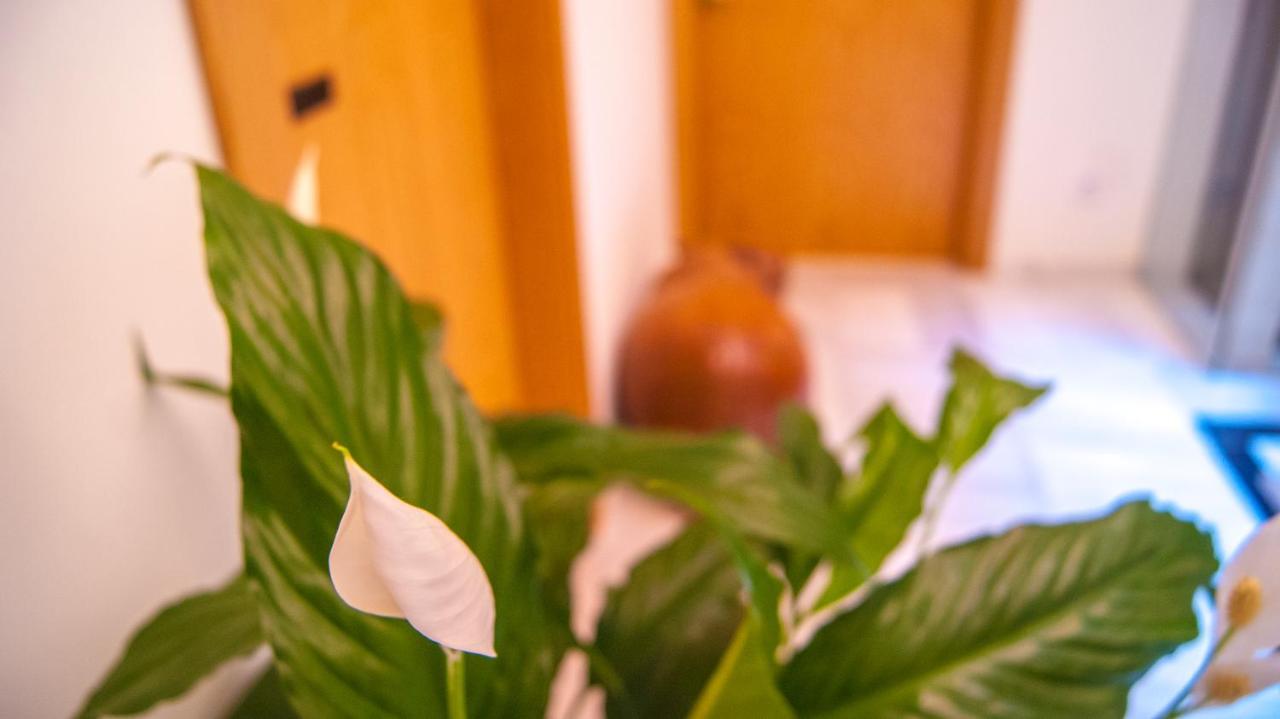 Sweet Sevilla Suites Екстер'єр фото